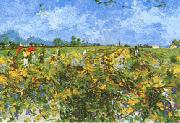 Vincent Van Gogh Green Vineyard Spain oil painting artist